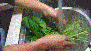 这些公认的“降压菜”，护肝降压效果好，几块钱能炒一大盘，你都吃了吗?