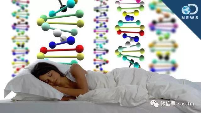 你睡不睡觉？ 睡多久？不是你说的算 而是你的基因说的算