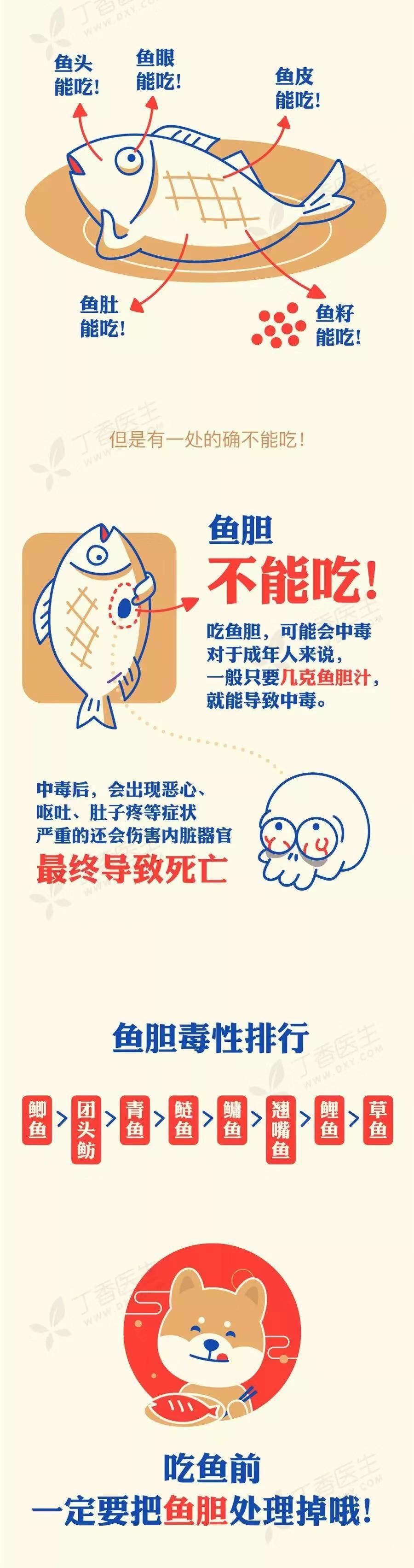 鱼的这个部位有毒，千万别吃啦！