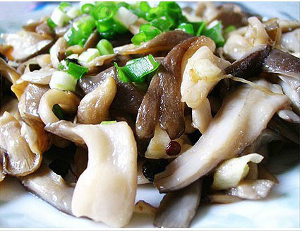 50款素菜菜谱,比肉菜还好吃~
