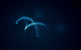 明天和意外哪个先来？基因检测，助力健康生活！护航生命健康！