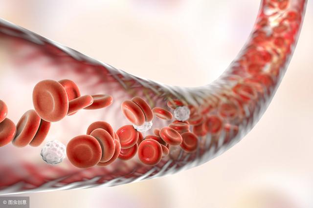 5大元凶正在缩短你的寿命，4种食物让血管变年轻
