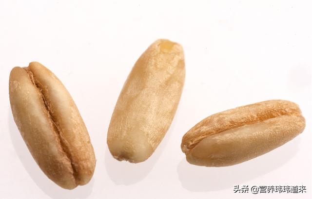 关于燕麦——你需要知道的五个真相！