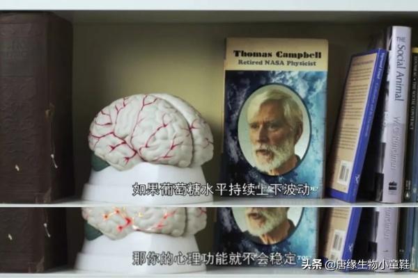 为什么要戒糖？如何戒糖？