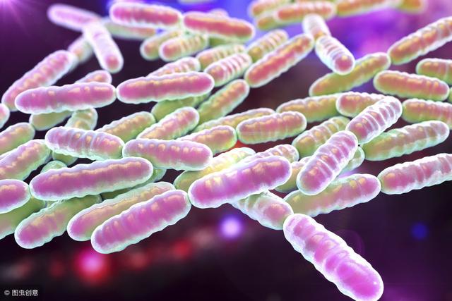 肠道益生菌少，血脂超标便秘扰！医生支2招，菌群增殖指标正常