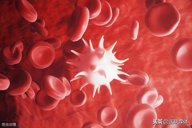 养生秘诀：养成3个好习惯，让你的血管更长寿