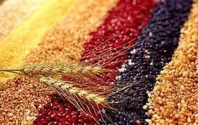 有三高喝些谷物浓浆 这些食物让血管变年轻