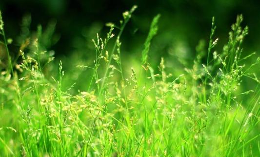 立夏之后吃煮鸡蛋，可一天最多吃几个？吃鸡蛋时别犯这几个错误