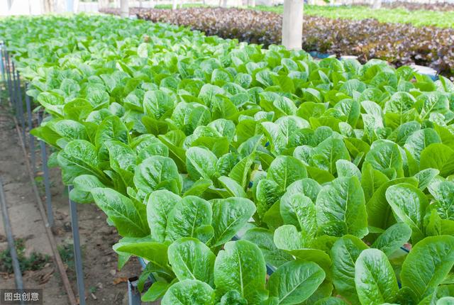 教你如何正确健康饮食秘籍