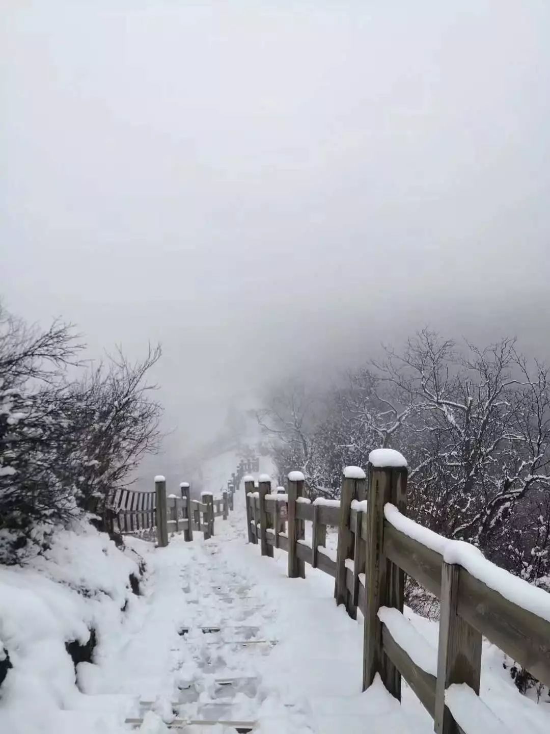 西岭雪山立夏后降雪！近10年第一次！