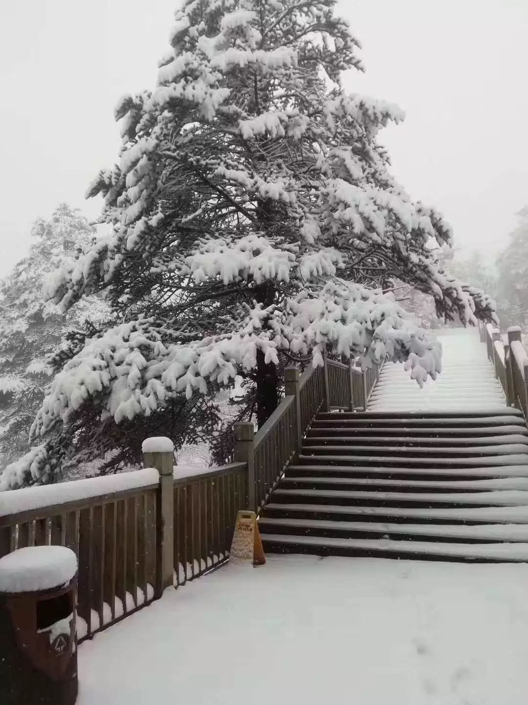 西岭雪山立夏后降雪！近10年第一次！