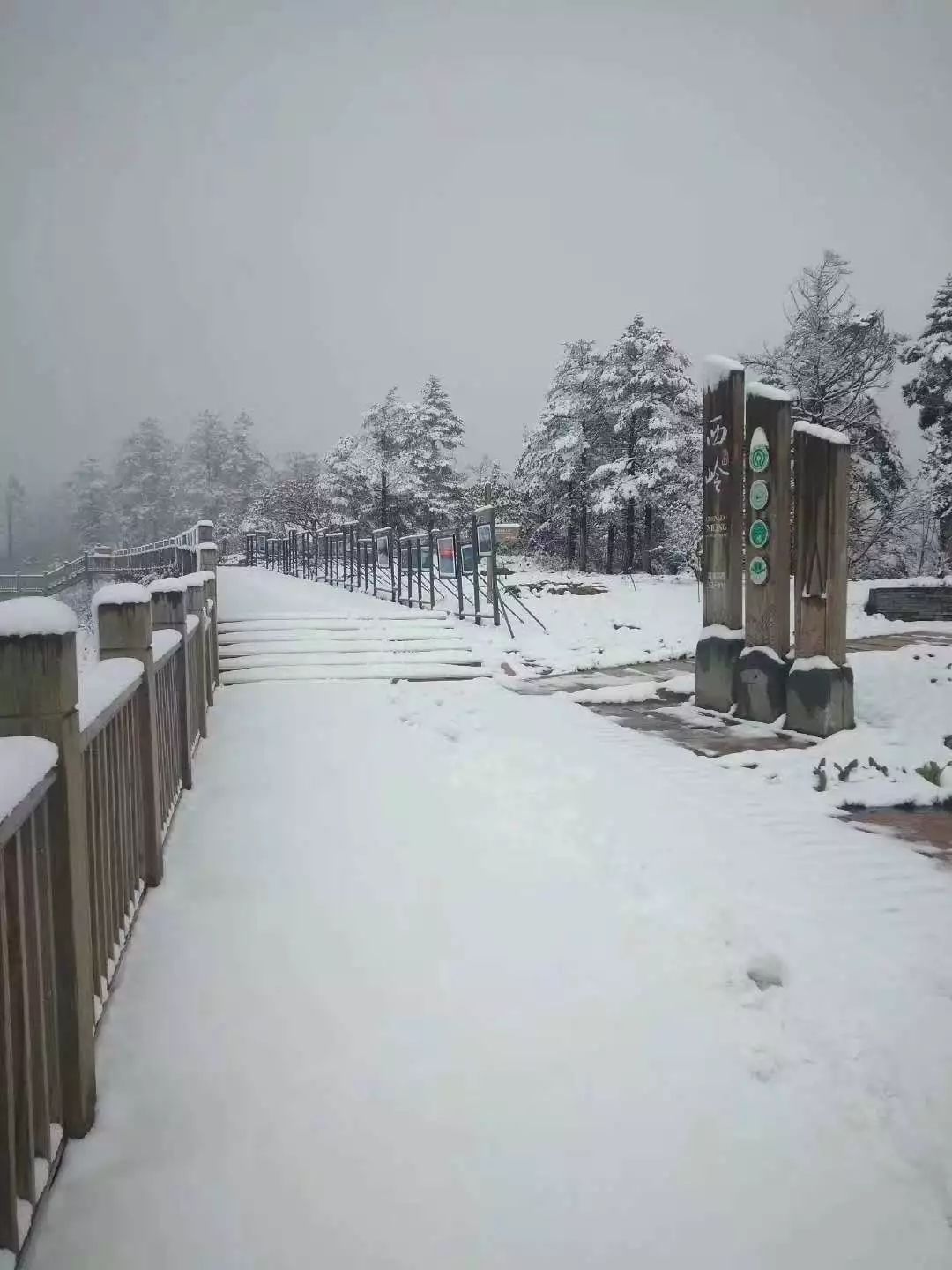 西岭雪山立夏后降雪！近10年第一次！