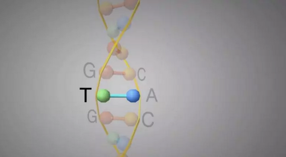 NIH院长谈干细胞基因治疗首例镰状贫血症
