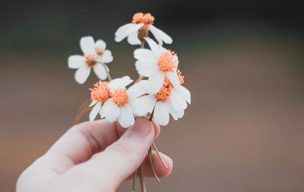 心理医生：这6个易被忽视的迹象，可能是抑郁症的征兆