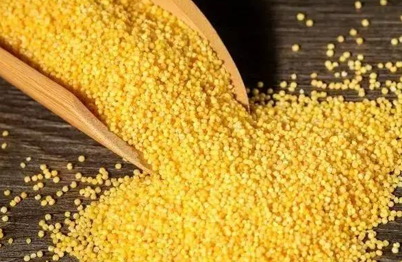 药疗不如食疗，五谷养生大揭秘！