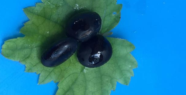 亚健康的完美选择早餐豆浆你所不知道的黑知识