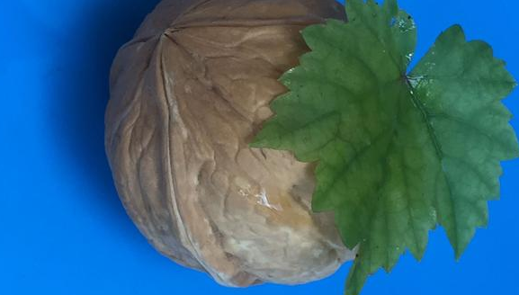 亚健康的完美选择早餐豆浆你所不知道的黑知识