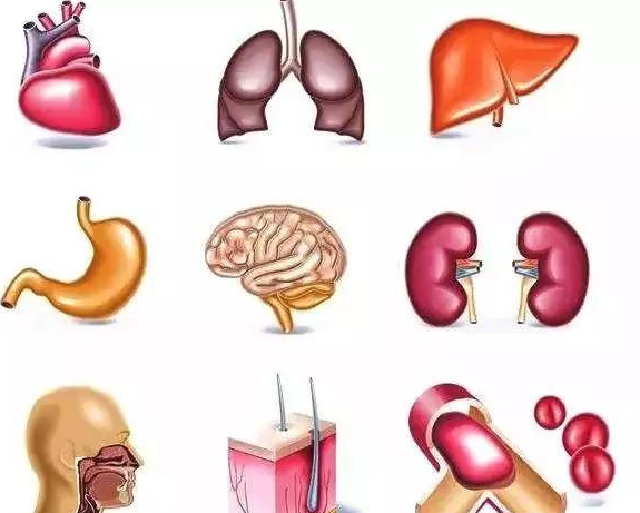 45岁后是“生命高危期”，最该提防这些亚健康状态或疾病