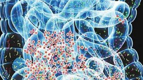 让“亚健康人群”不够健康的原因，可能就在你的血液里！