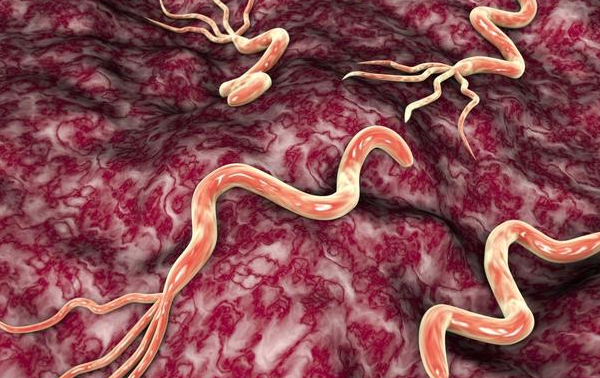 幽门螺杆菌，中国人胃癌首害！医生提醒：积极预防，要做到这6点