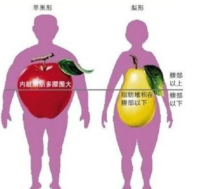 减内脏脂肪最懒但最有效的办法是什么？