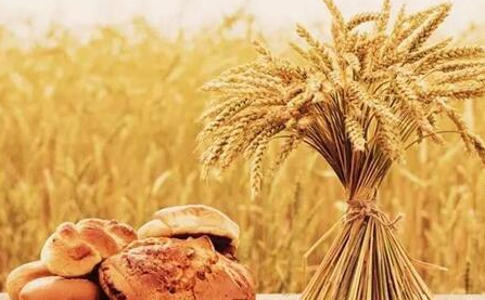 这九种天然的药疗食物，却容易被人们忽略