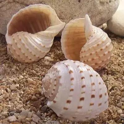 五彩斑斓的海上之花，有没有去看看大海的冲动？