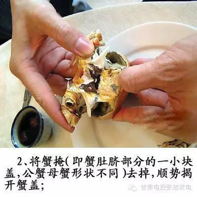 图解，螃蟹的正确吃法