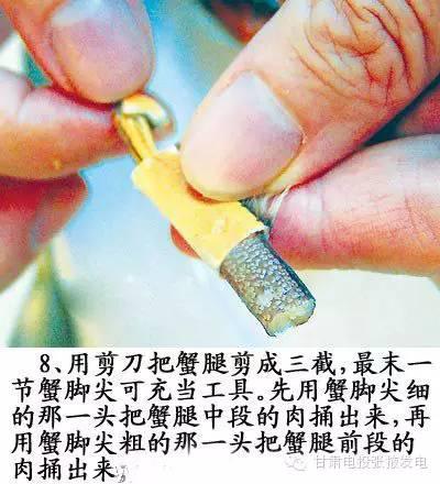 图解，螃蟹的正确吃法