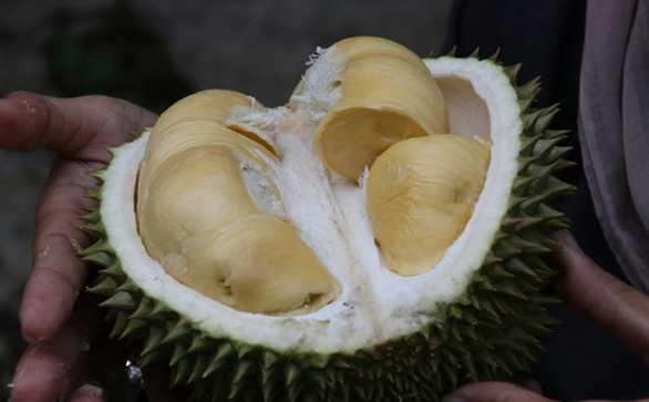 常吃榴莲有什么益处？