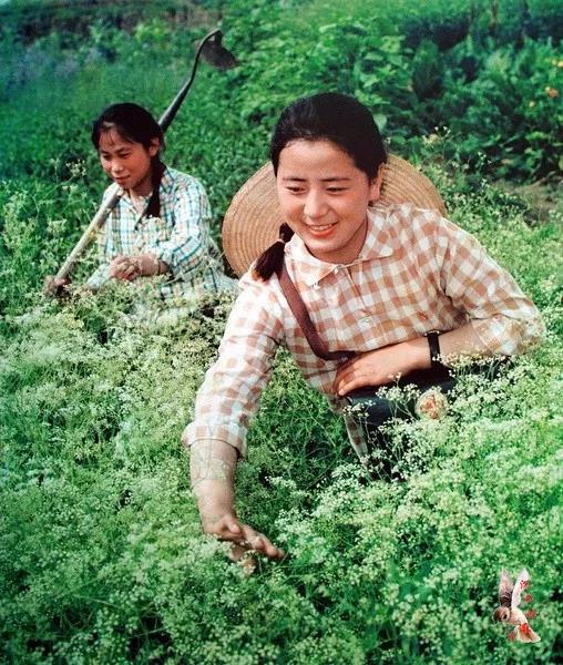那个年代的妇女，真漂亮！