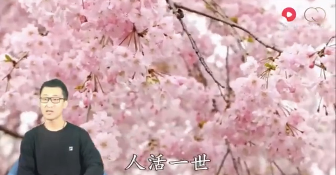 小视频  看看这几句话，送给50岁以上的人