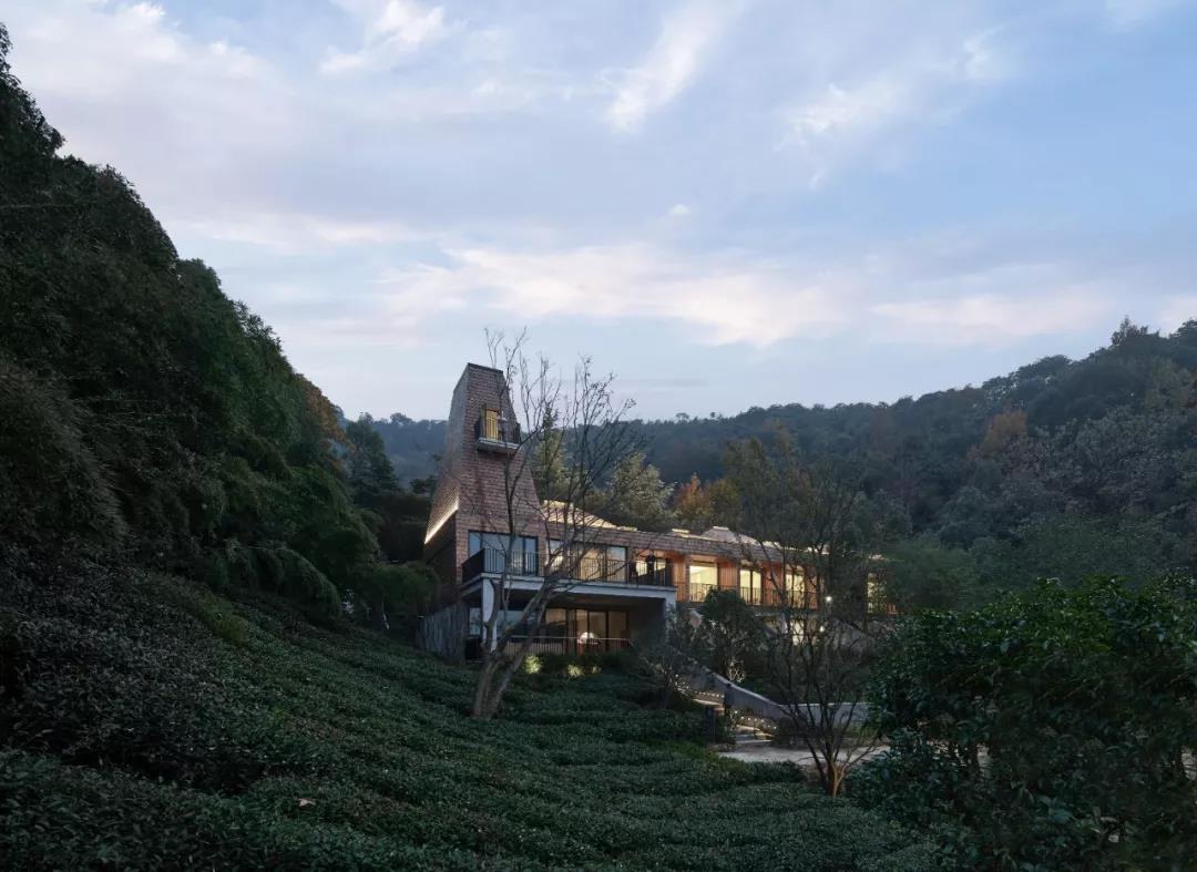 茶园山谷里的民宿，美。