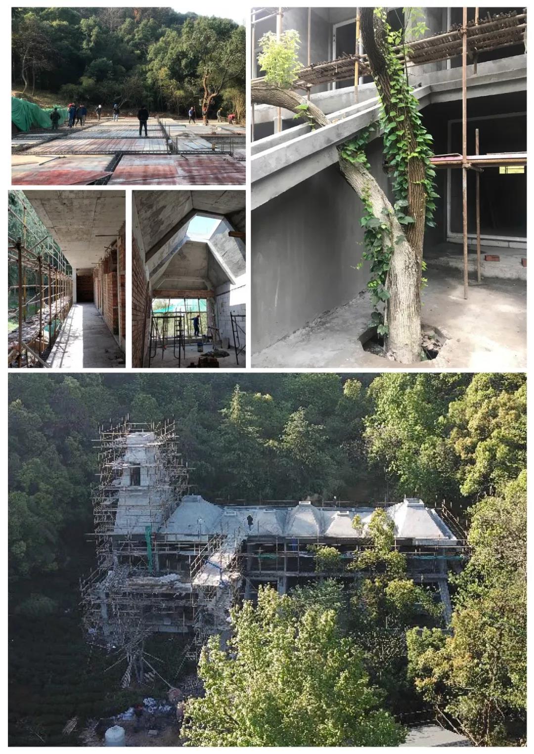 茶园山谷里的民宿，美。