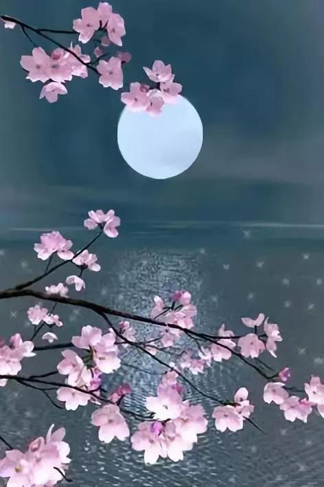 端午节到了，送你一组美图，但愿月圆人更团圆