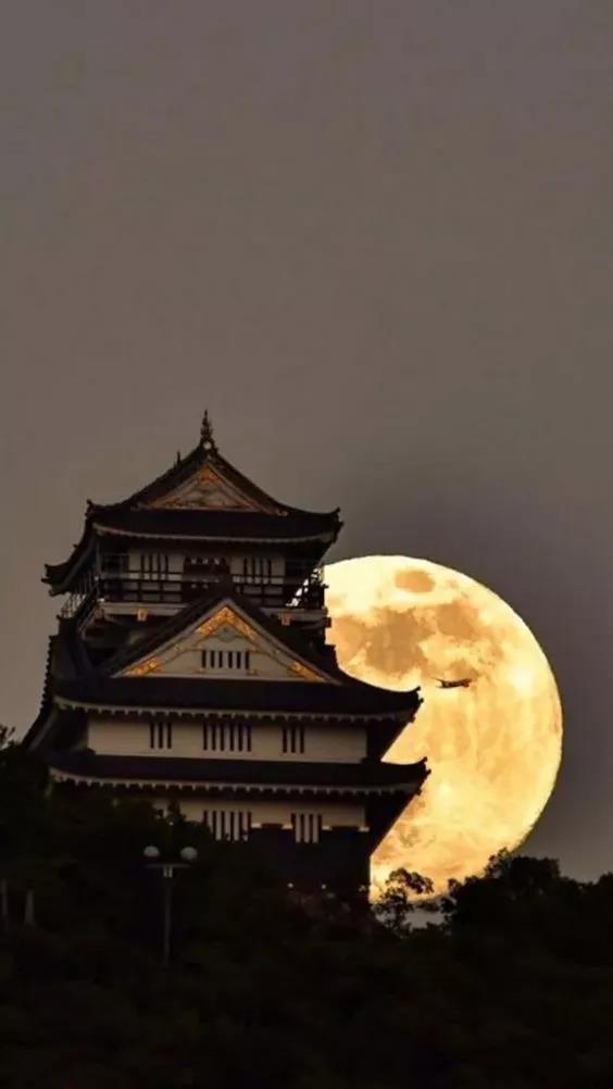 端午节到了，送你一组美图，但愿月圆人更团圆