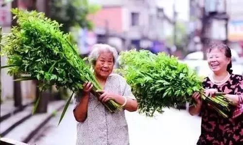 端午养好生，全身少病痛！超全端午养生攻略，人人适用~