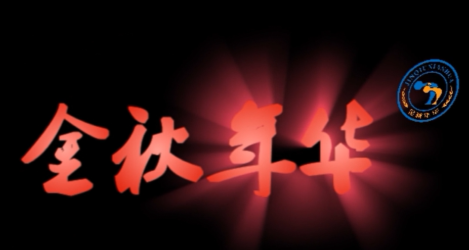 金秋年华龙泉驿区推进会
