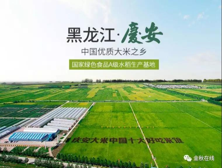 关爱老人 金秋年华用行动践行